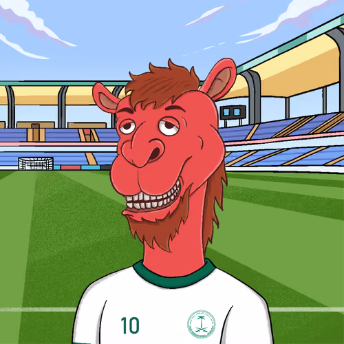 Qatar Football Zoo: #445