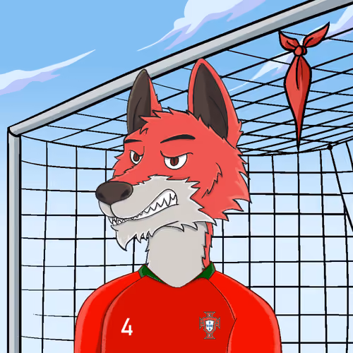 Qatar Football Zoo: #555