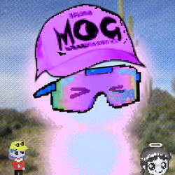 MOG AURAS #2381