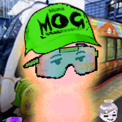 MOG AURAS #584