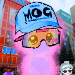 MOG AURAS #849