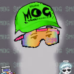 MOG AURAS #461