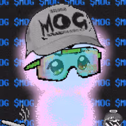 MOG AURAS #1367