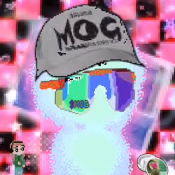 MOG AURAS #1531