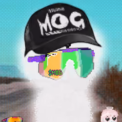 MOG AURAS #1812