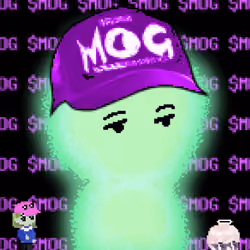 MOG AURAS #1010