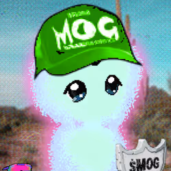 MOG AURAS #1781