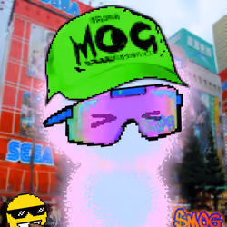 MOG AURAS #136