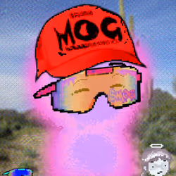 MOG AURAS #530