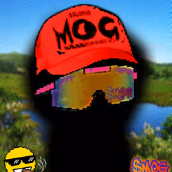 MOG AURAS #100