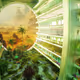 Solarpunk Worlds