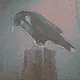 nevermore