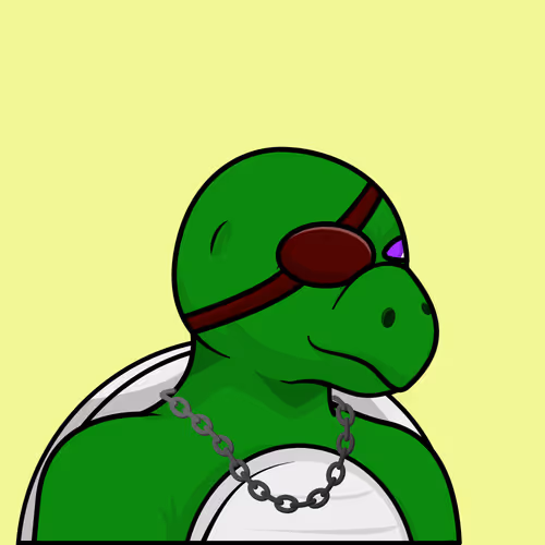 Ordinary Turts