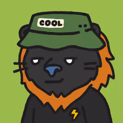 Cool Lions #2015