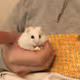 796