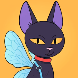 Rebel Cat #397
