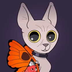 Rebel Cat #402