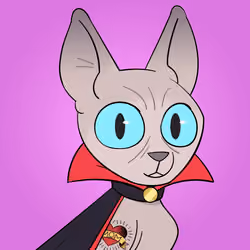 Rebel Cat #407