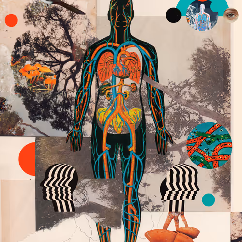 Collage World V2
