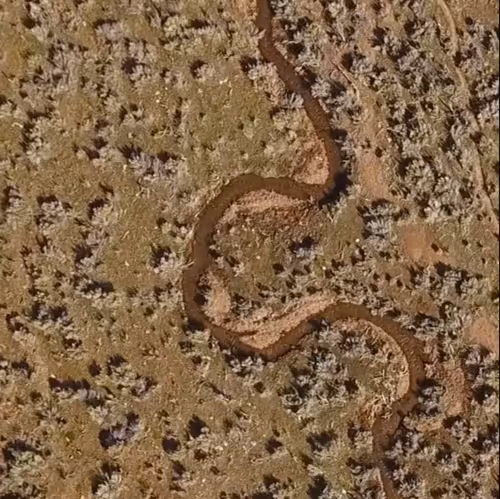 Item #823524884499918313 Media