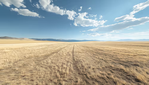 Item #1716052463073976897 Media