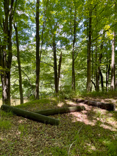 Item #11888523710004325986 Media