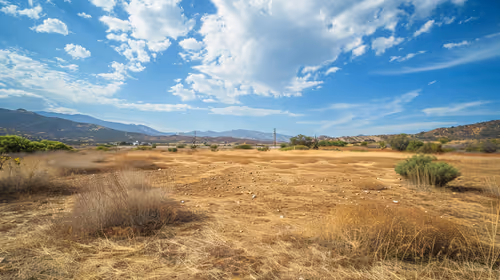 Item #7666686430872311379 Media