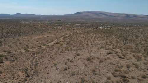 Item #2902372497604345806 Media