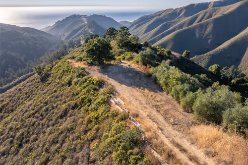 Item #15375291027702656743 Media