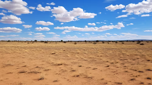 Item #10837975183967474064 Media