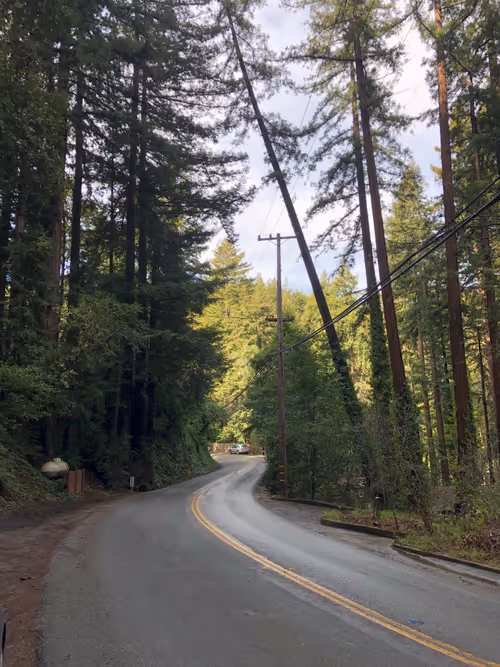 Item #14544113128183520803 Media