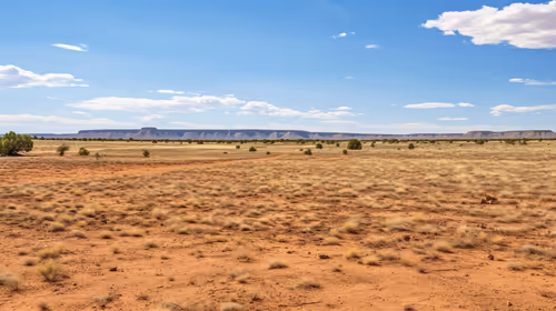 Item #5770998104898037619 Media