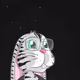 207