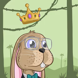 42