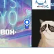 2806