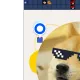 65691