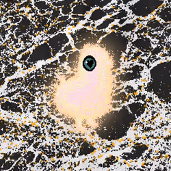 65