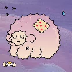 11