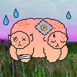 579