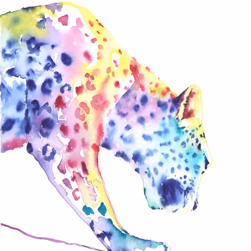 African Leopard