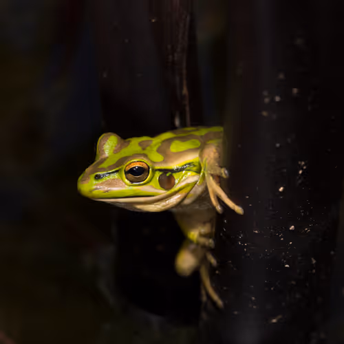 Jo Ottey Photography