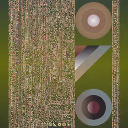 27351590983062365677486503722577408930064250723080863920865112148460955306258