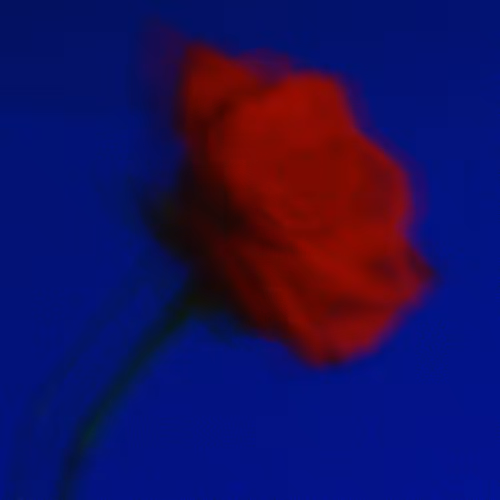 Reverie In Bloom