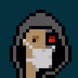CSM #2339