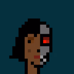 CSM #2049