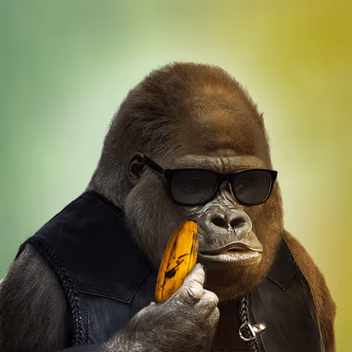 Social Kong #14