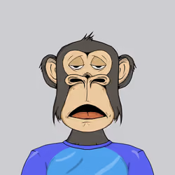 Mad Monkey Sea Club #6797