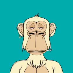 Mad Monkey Sea Club #4853