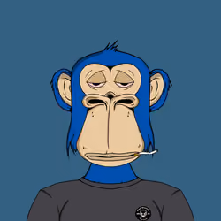 Mad Monkey Sea Club #4854