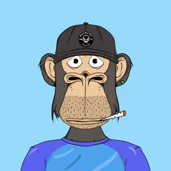 Mad Monkey Sea Club #4699